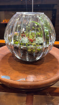 Crystal Bowl Terrarium