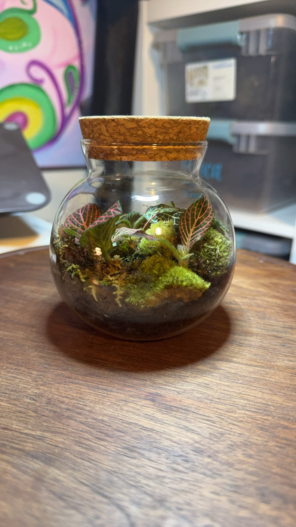 Small terrarium