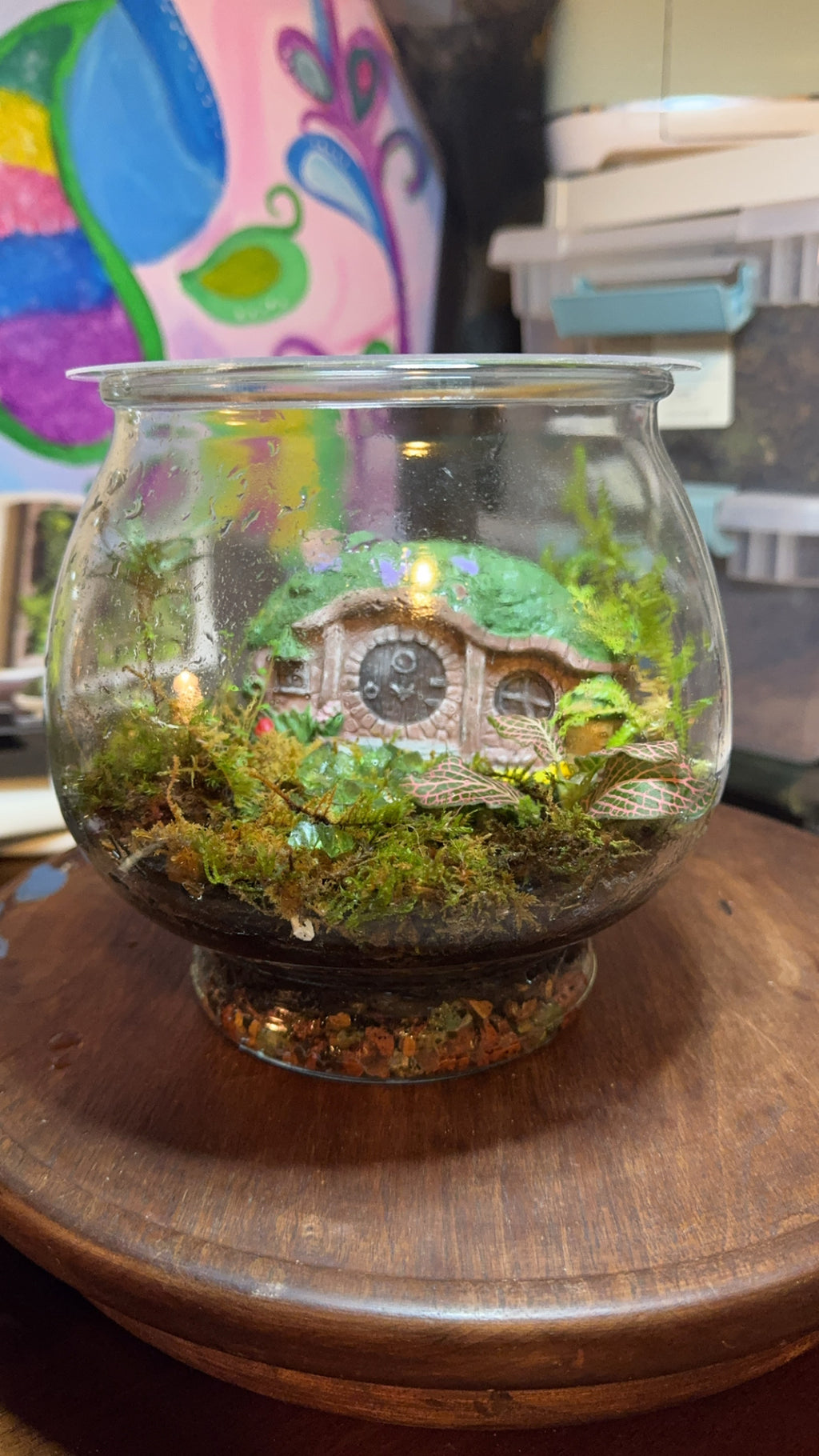 Fairytale Terrarium