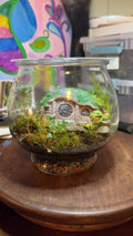 Fairytale Terrarium