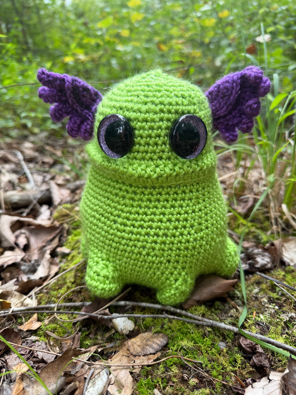 Frogbert