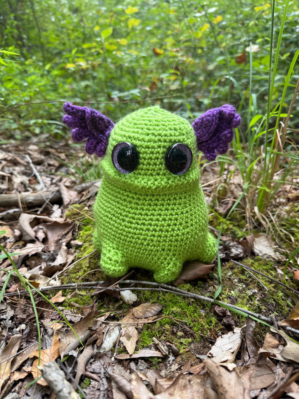 Frogbert
