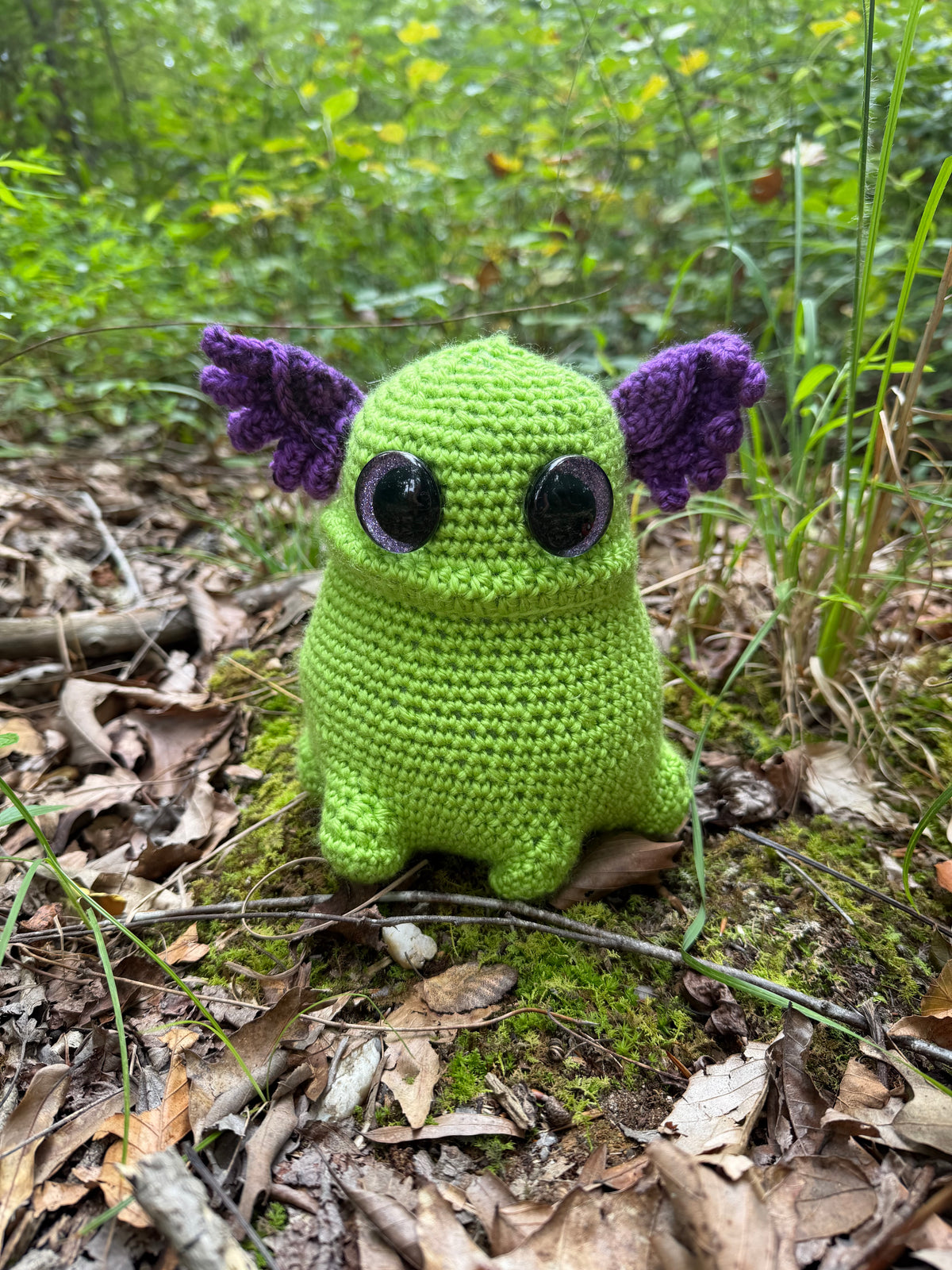 Frogbert