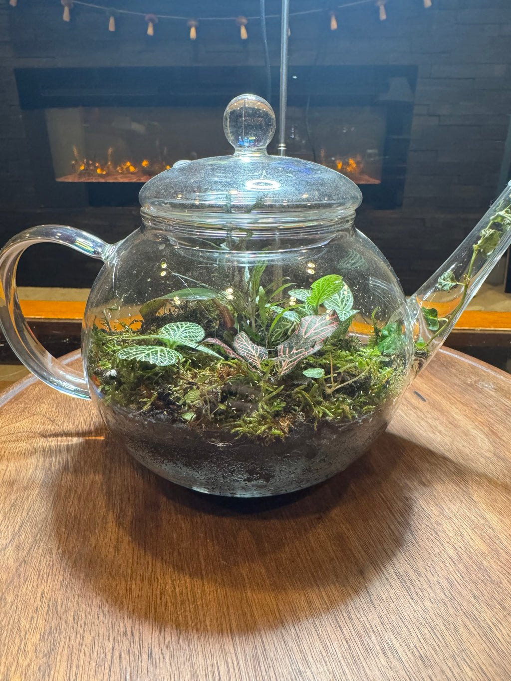 Tea Pot Terrarium