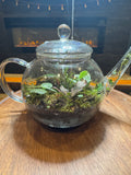 Tea Pot Terrarium