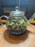 Tea Pot Terrarium