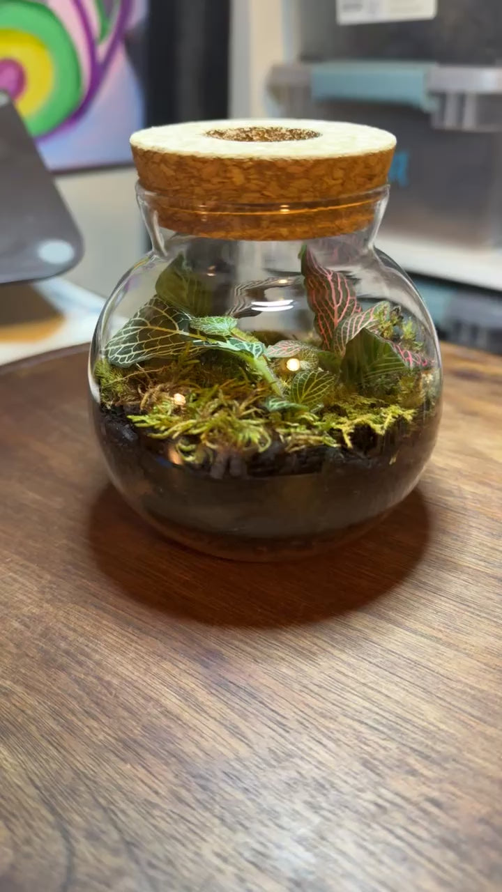 Small terrarium