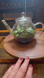 Tea Pot Terrarium