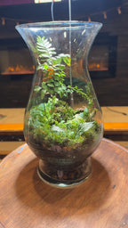 Large Terrarium