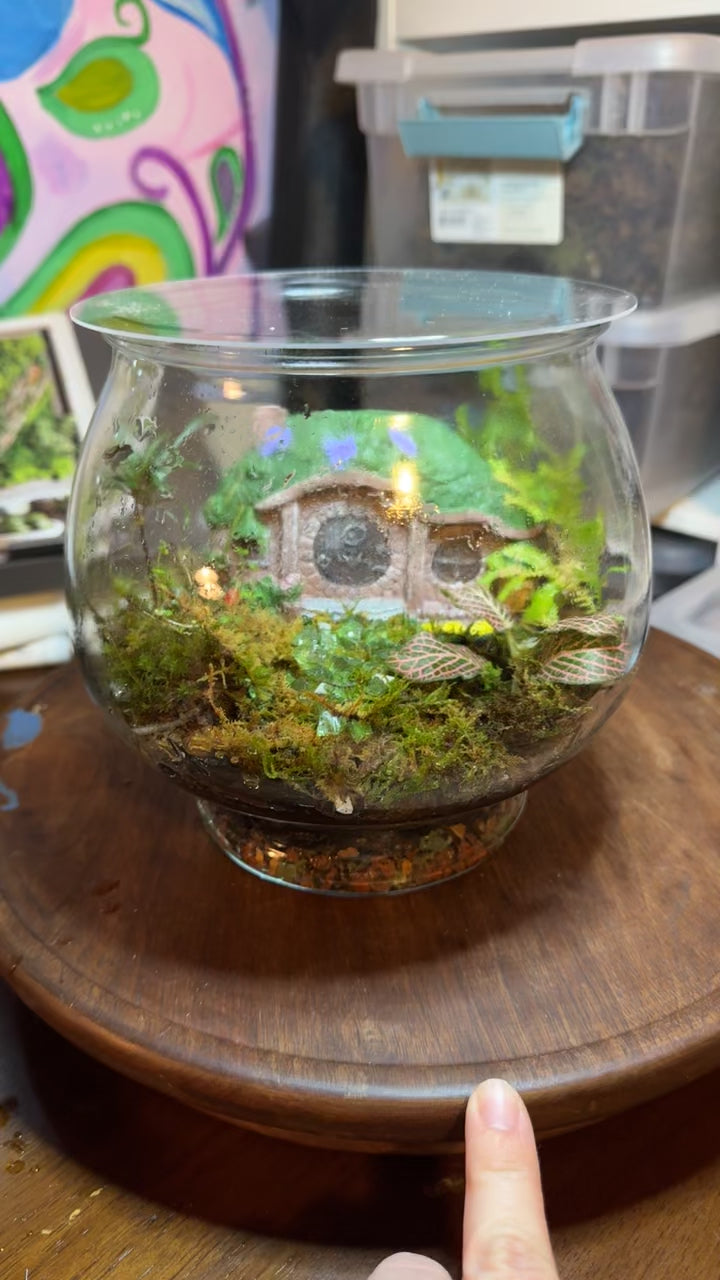 Fairytale Terrarium